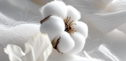 עיצוב ללא שם (40)